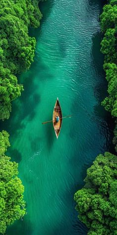 a boat floating on top of a river surrounded by green trees in the middle of a forest