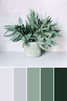 a potted plant sitting on top of a table next to a color swatch