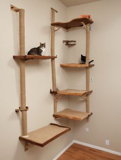 a cat sitting on top of a wooden shelf next to a wall mounted scratching board