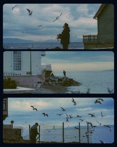 birds flying over the ocean and people standing on rocks