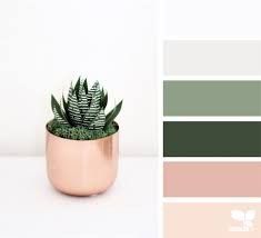 a potted plant sitting on top of a table next to a color swatch