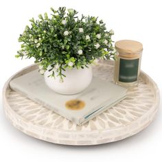 a potted plant sitting on top of a white plate