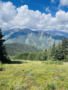 a grassy field with trees and mountains in the background