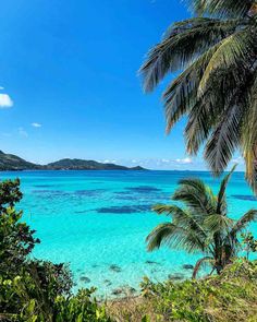 palm trees and clear blue water in the tropical island with white sand beach on the other side