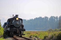 an old fashioned train traveling down the tracks near some trees and grass in front of a body of water