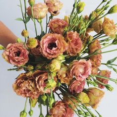 a person holding a bouquet of flowers in their hand