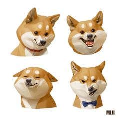 four images of a corgi dog with different facial expressions on their face and neck