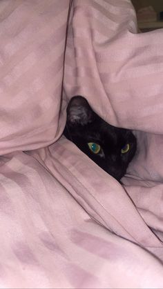 a black cat peeking out from under a pink blanket