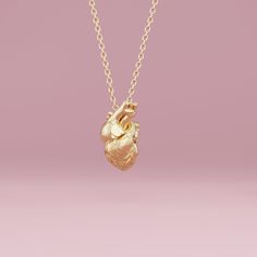 Shop at our store and do good. We donate 1 USD for each product in your order to science education. Anatomical heart necklace. Free US shipping! Need shipping to the EU? Check our EU version: https://www.etsy.com/listing/1187260146/anatomical-heart-necklace 3D printed in wax and cast on demand. Ships from Europe or the US (whichever is closer to you). Comes in a little black velvet bag. One solid piece of an anatomically correct human heart. The model is not hollow, hence it's a bit more expensi Anatomical Heart Jewelry, Human Heart Necklace, Anatomical Heart Pendant, Anatomically Correct Heart, Anatomical Heart Necklace, Fish Necklace, Anatomical Heart, Human Heart, Gold Heart Necklace