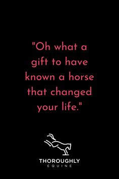 A pink quote on a solid black background. The quote reads "Oh what a gift to have known a horse that changed your life." There is a white Thoroughly Equine logo at the bottom of the image with a simple outline of a bucking horse. Equestrian Motivation Quotes, Horse Life Quotes, Equestrian Life Quotes, Equine Therapy Quotes, Heart Horse Quote, Horse Quotes Meaningful Short, Equestrian Quotes Inspirational, Horse Quotes Meaningful, Horse Girl Quotes