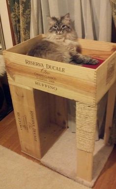 a cat sitting on top of a wooden crate