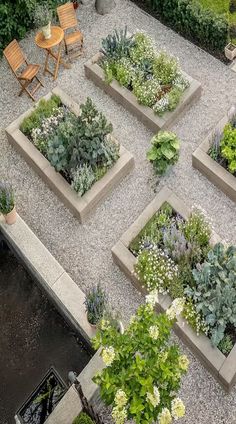 an aerial view of a garden with various plants and flowers in square planter boxes