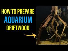 how to prepare an aquarium driftwood