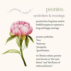 a pink flower with green leaves on it and the words peonies written in english