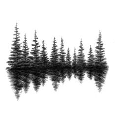 black and white photograph of trees reflected in water