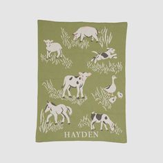 a green blanket with farm animals on it and the words hayden written in white