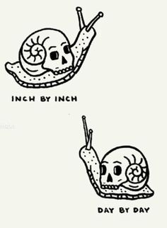 two snails with skulls on their backs and one snail in its shell, both have the same