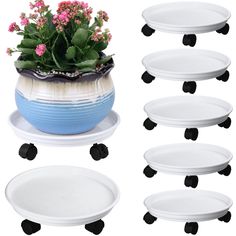 six white plates with black handles and flower pot on wheels, all holding pink flowers