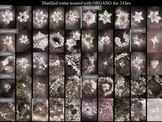 an image of snow flakes in different styles and sizes, all over the webpage