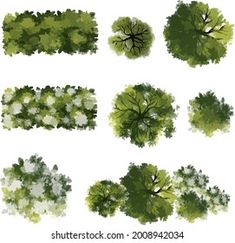 top down view of various trees and shrubs from above, isolated on white background - stock photo