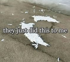 the words they just did this to me are written in white feathers