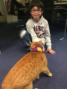 a young boy sitting on the floor petting an orange cat