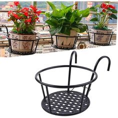 three potted plants are sitting on a rack