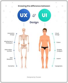 the human body with different types of skeletal bones and their corresponding parts to each other