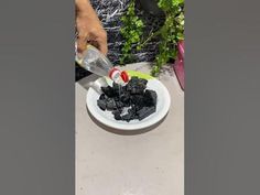 a person pouring water into a bowl filled with black sugar cubes on top of a table