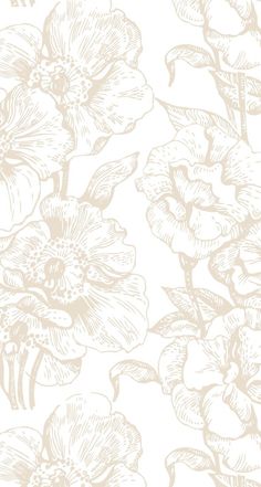 a white and beige flower wallpaper pattern