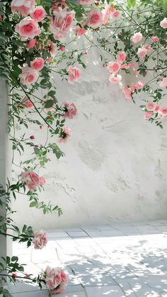 pink roses are growing on the side of a white wall and in front of a tiled floor