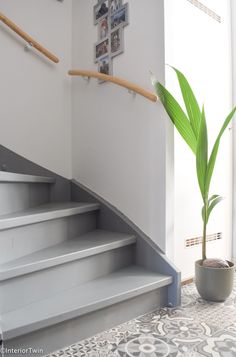 a potted plant sitting on top of a white stair case next to a set of stairs