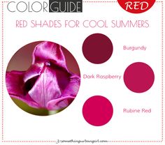 the color guide for red shades for cool summer's colors, including burgundy and pink