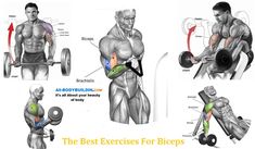 the best exercises for biceps are to perform their upper and lower body muscles