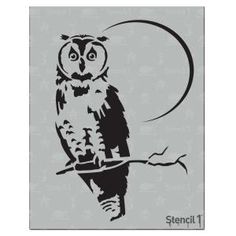 an owl sitting on top of a branch with the moon in the sky behind it