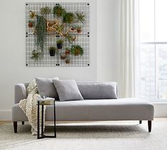 a living room with a couch, coffee table and potted plants on the wall