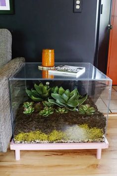 a glass table with plants in it