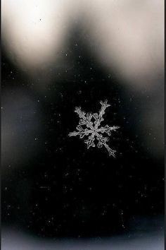 a snowflake is seen through the frosted window