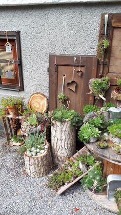 many different types of plants in pots on the ground next to a building with wooden doors and windows