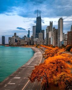 the city skyline is shown with tall buildings and trees in front of the water's edge