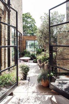 an image of the inside of a house with plants in pots and potted plants