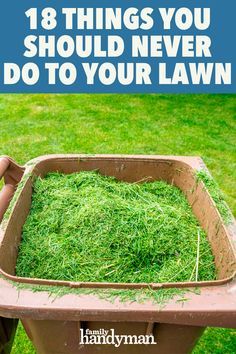 Lawn Renovation, Organic Lawn Care, Homestead Ideas