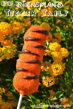 an image of some food that is on a stick