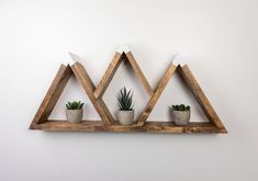 three triangular wooden shelves with plants in them on a white wall behind the shelf is a potted plant and two succulents