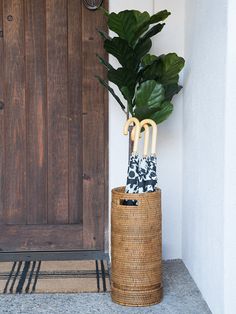 a plant in a basket next to a door with an umbrella on it's handle