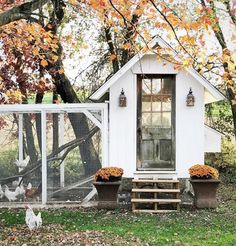 a chicken coop in the middle of a yard with two chickens on it's side