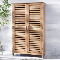 a wooden cabinet sitting next to a potted plant on top of a white rug