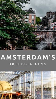 an image of amsterdam's greenhouses with text overlay