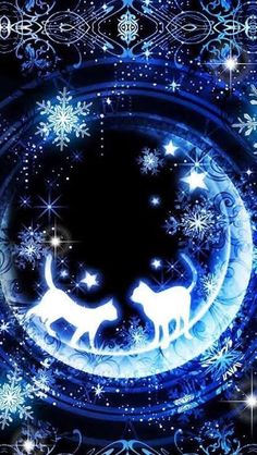 two cats are walking in the snow with stars and swirls around them on a dark blue background