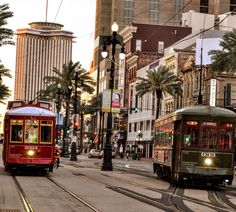 two trolleys driving down the street with palm trees on both sides and tall buildings in the background